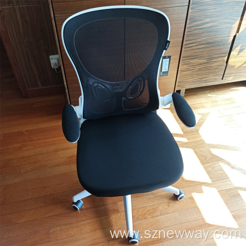 Hbada Office Gaming Chair with Flip-up Arms